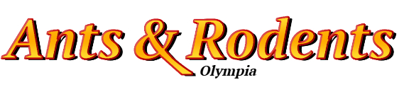 Olympia Ant Exterminator & Rodent Control Company Logo